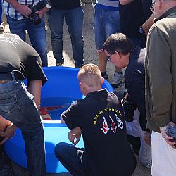 Watergala 2016, deel 3: afbeelding 11