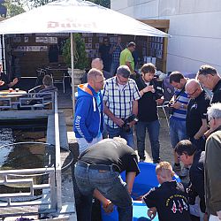 Watergala 2016, deel 3: afbeelding 12
