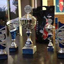 Watergala 2016, deel 4: afbeelding 1