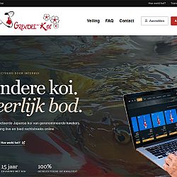 We brengen de vreugde terug bij een hobbyist: afbeelding 15