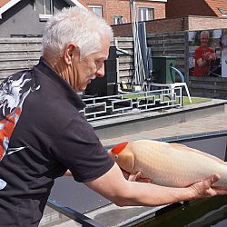 Werk aan de winkel: afbeelding 2