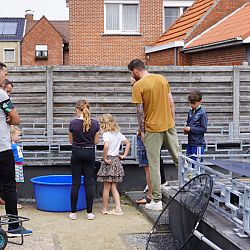 Willen jullie de koi niet meer komen ophalen ?: afbeelding 3