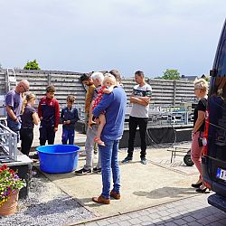Willen jullie de koi niet meer komen ophalen ?: afbeelding 5