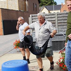 Willen we nu allemaal jumbo koi ?: afbeelding 6