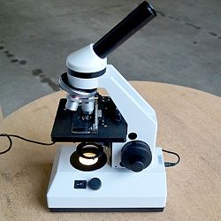 Winnaar van de microscoop: afbeelding 2