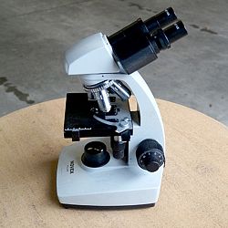 Winnaar van de microscoop: afbeelding 4