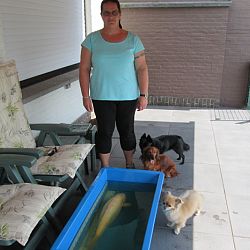 Wonderen zijn de wereld nog niet uit: afbeelding 1