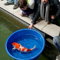 Zalige Zaterdagen: afbeelding 2