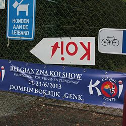 Ze gaan als warme broodjes de deur uit: afbeelding 9
