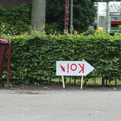 Ze gaan als warme broodjes de deur uit: afbeelding 10