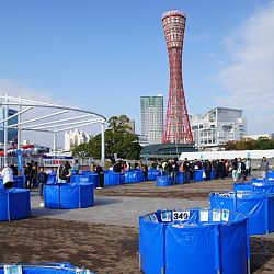 ZNA show Kobe 2012: afbeelding 2