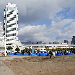 ZNA show Kobe 2012: afbeelding 5