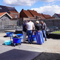 Zo trots als een pauw: afbeelding 2