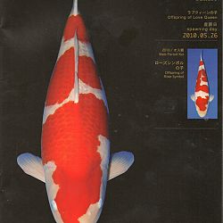 Zoals beloofd: afbeelding 6