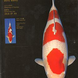 Zoals beloofd: afbeelding 7