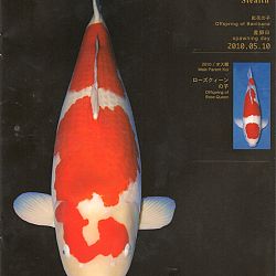 Zoals beloofd: afbeelding 8