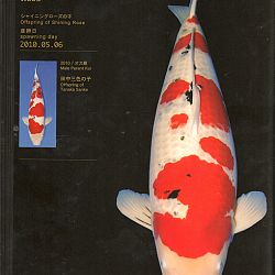 Zoals beloofd: afbeelding 9