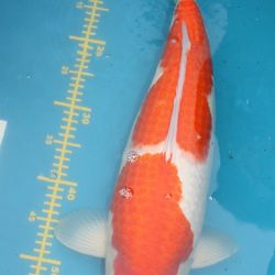 Zomaar wat foto's: afbeelding 25