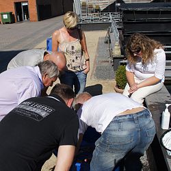 Zon...zon en nog eens zon: afbeelding 9