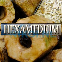 Hexamedium: afbeelding