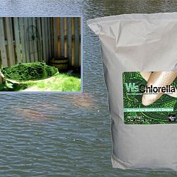 Probites voor de zomer: afbeelding